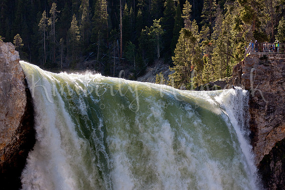 Lower Yellowstone Falls