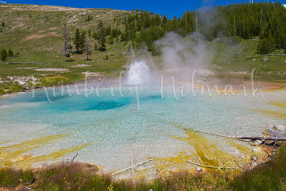 Imperial Geyser