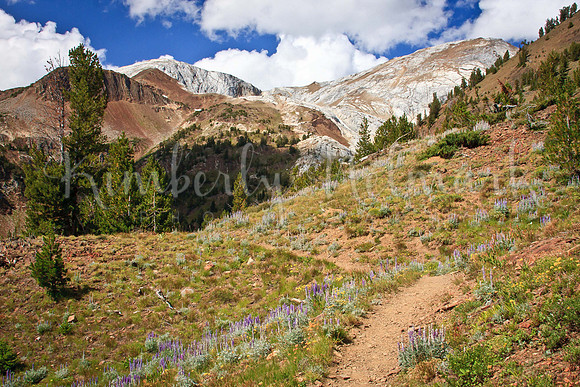 Trail to Ice Lake, Eagle Cap Wilderness