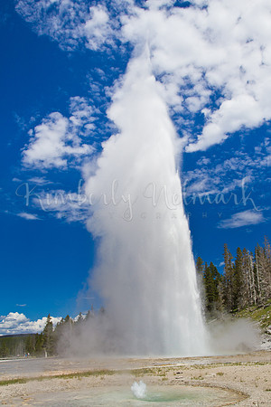 Grand Geyser