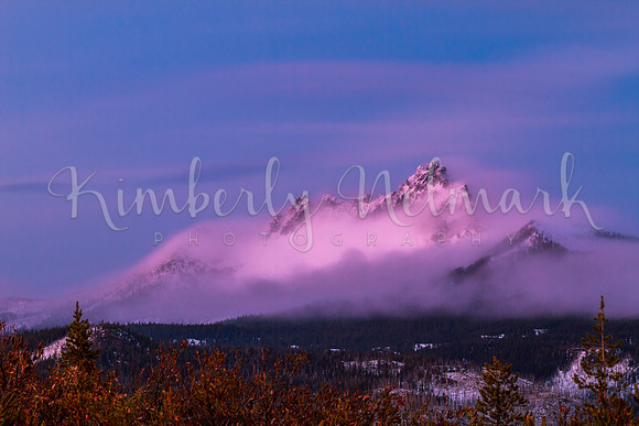 Three Fingered Jack