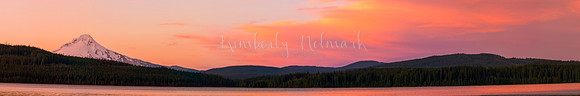 Timothy Lake