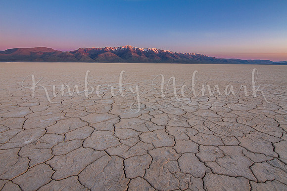 Alvord Desert