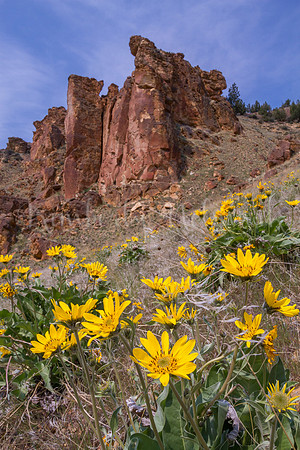 Leslie Gulch