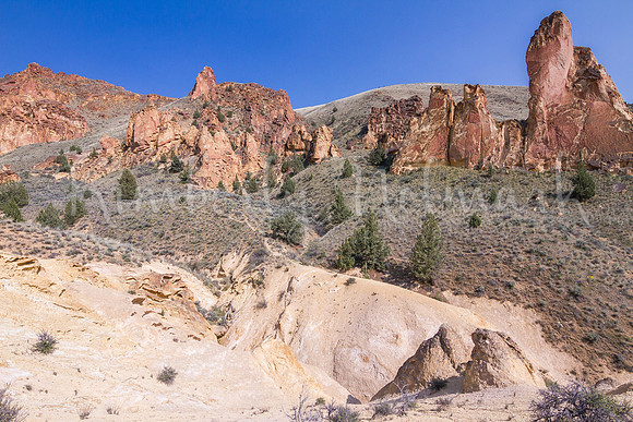 Juniper Gulch