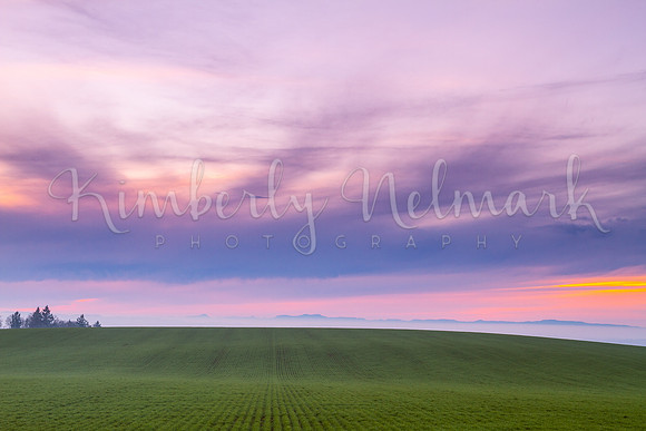 Willamette Valley Fields