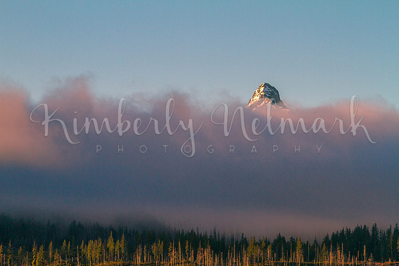 Mt Washington