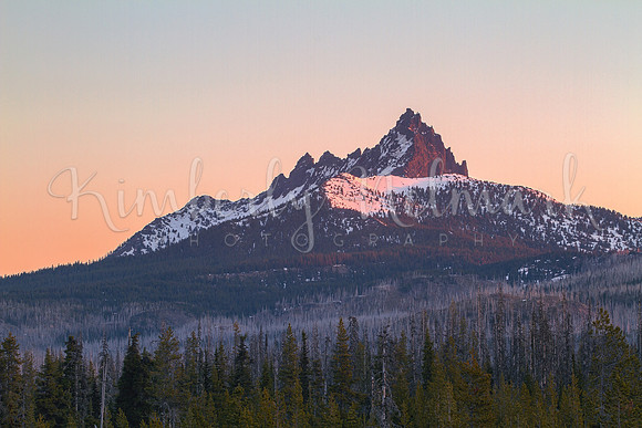 Three Fingered Jack