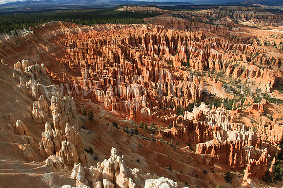 Bryce