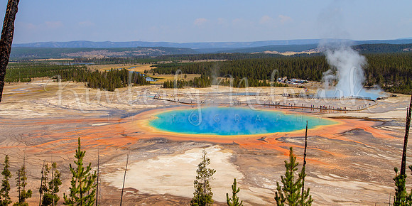Grand Prismatic Hot Spring