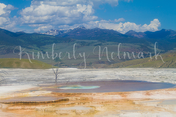 Trail Spring, Yellowstone