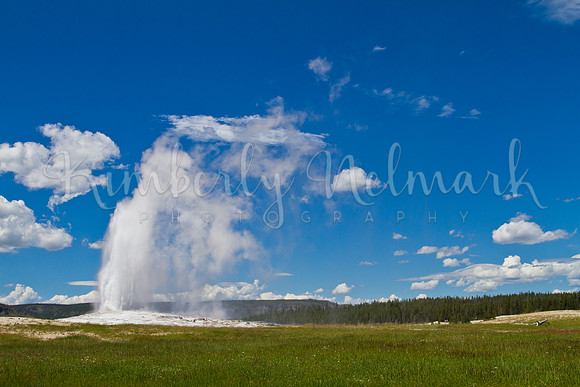 Old Faithful