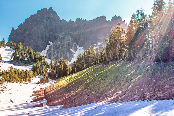 Canyon Creek Meadows, Mt. Jefferson Wilderness