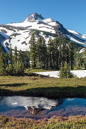 Mt. Jefferson from Jefferson Park