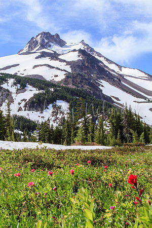 Mt. Jefferson from Jefferson Park