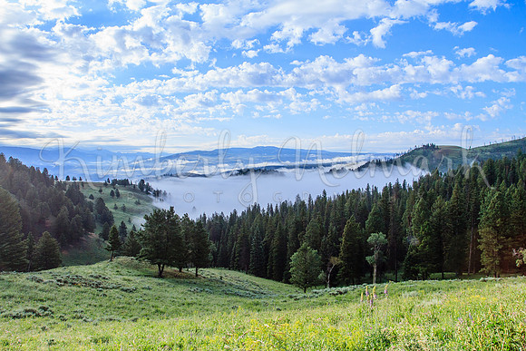 View from Blacktail Plateau Dr