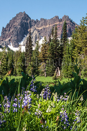 Canyon Creek Meadows, Mt. Jefferson Wilderness