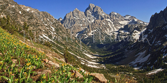 Cascade Canyon