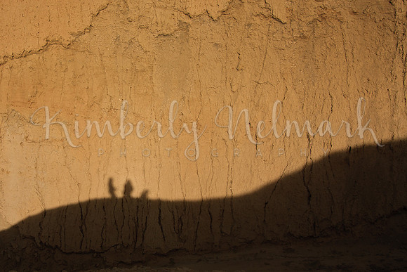 Family Shadows Hiking