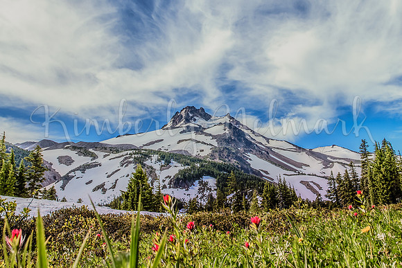 Mt. Jefferson from Jefferson Park