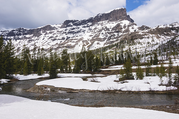 Pebble Creek