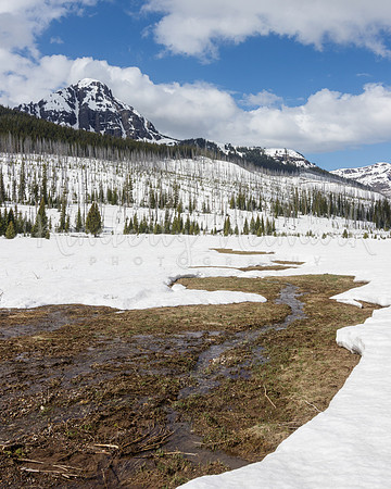 Pebble Creek
