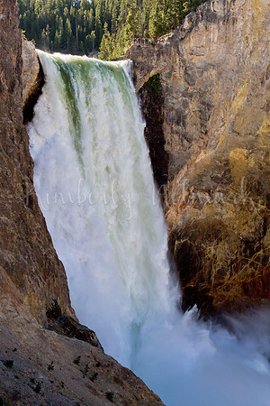 Lower Yellowstone Falls