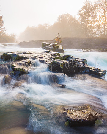 Thomas Creek Scio, Oregon