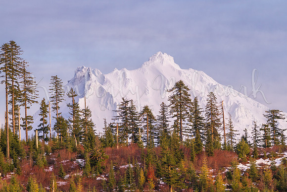 Mt Jefferson