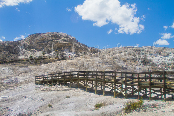 Minerva Terrace, Yellowstone