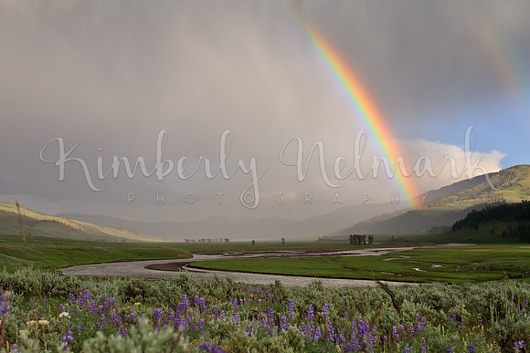 Rainbow in Lamar Valley, Yellowstone