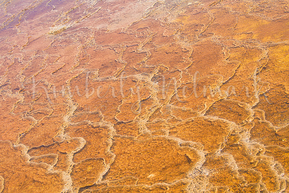 Mammoth water close up