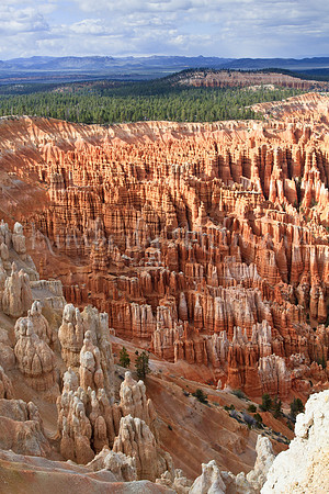 Bryce
