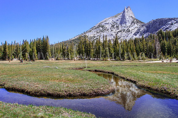 Cathedral Meadows