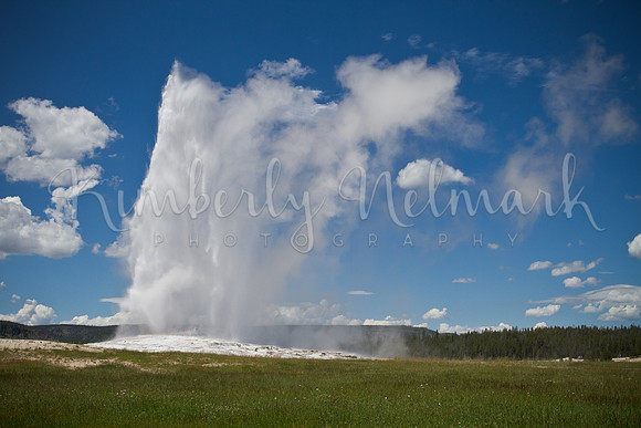 Old Faithful