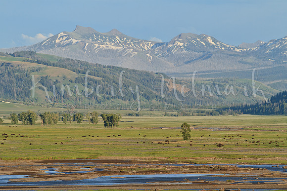 Lamar Valley, Yellowstone