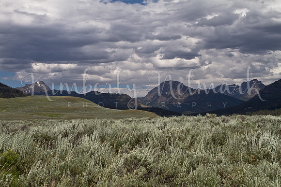 Lamar River Trail, Yellowstone