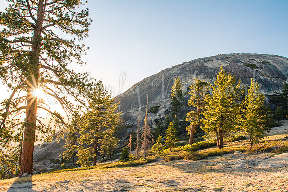 Sentinel Dome