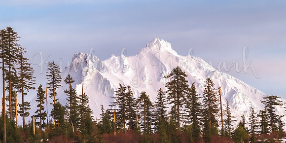 Mt Jefferson