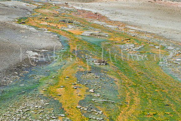 Hot spring runoff in Porcelain Basin