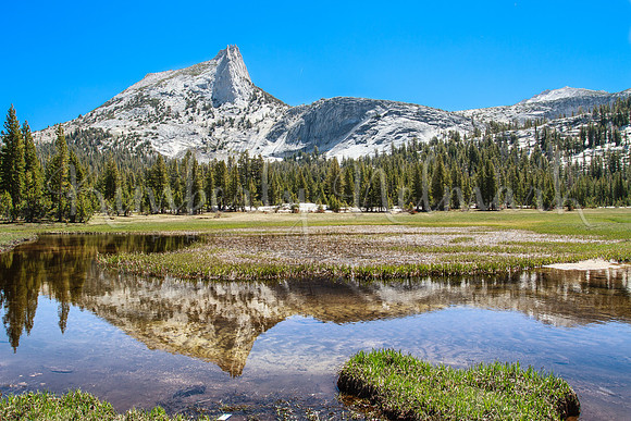 Cathedral Meadows