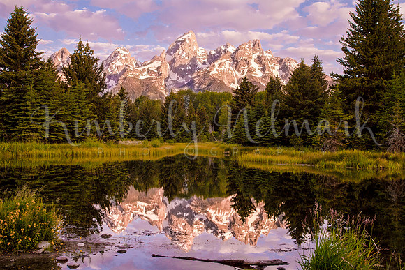 Schwabacher's Landing