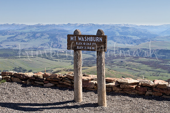 Mt. Washburn, Yellowstone