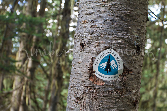 Pacific Crest Trail Sign, Glacier Peak Wilderness
