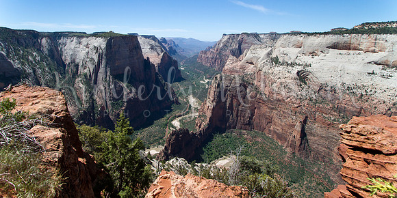 View from Observation Point, Zion