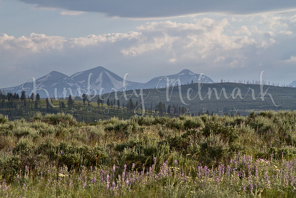 Gallatin Range, Yellowstone