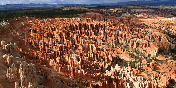 Bryce