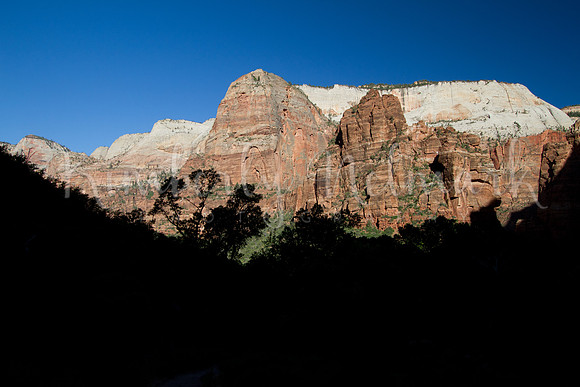 Zion Morning