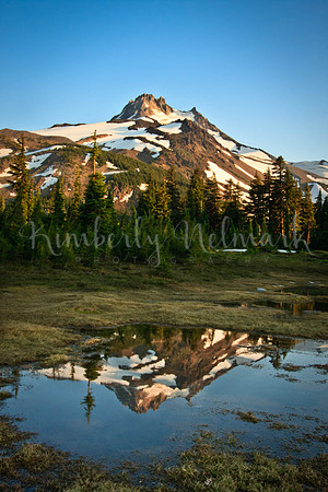 Mt. Jefferson reflected in a pond in Jefferson Park