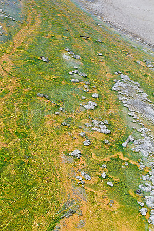 Hot spring runoff in Porcelain Basin